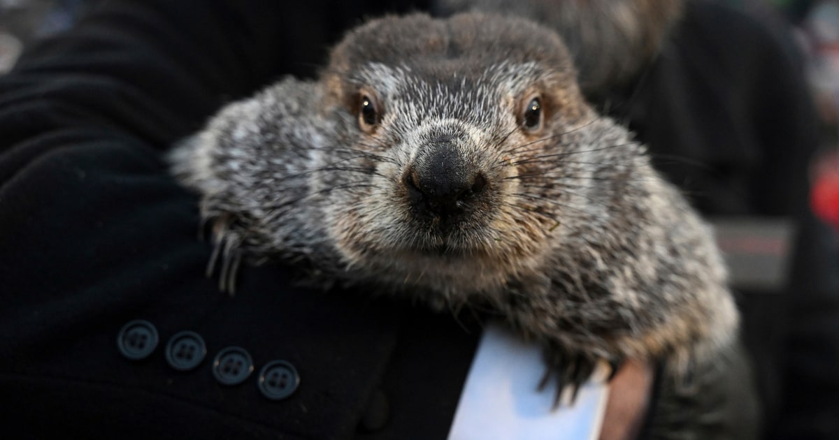 Punxsutawney Phil celebrates the arrival of two new members to his family.